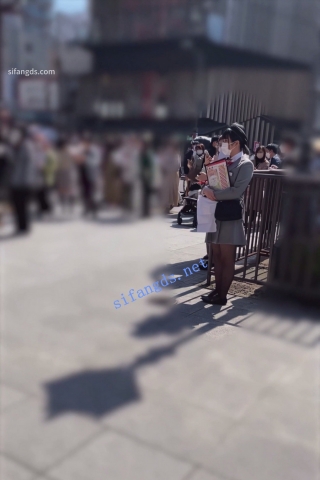 【日产精选】043景区制服导游黑丝过膝袜透明内黑森林